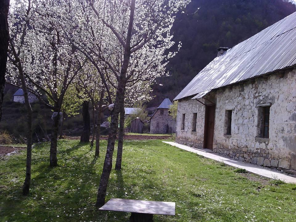 Syri I Kalter Kaprre Hotel Theth Exterior foto
